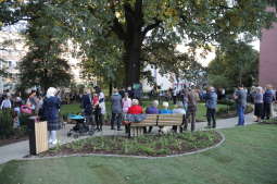 20181006164143_img_6919.jpg-Park kieszonkowy,Celarowska,Majchrowski,Ogród,Dąb