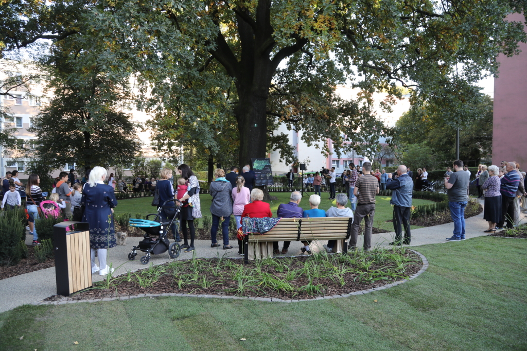 20181006164143_img_6919.jpg-Park kieszonkowy,Celarowska,Majchrowski,Ogród,Dąb  Autor: B. Świerzowski