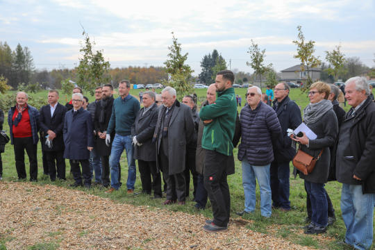 bs_krpl_20181027_img_2889.jpg-Dąb,Niepodległość,Majchrowski