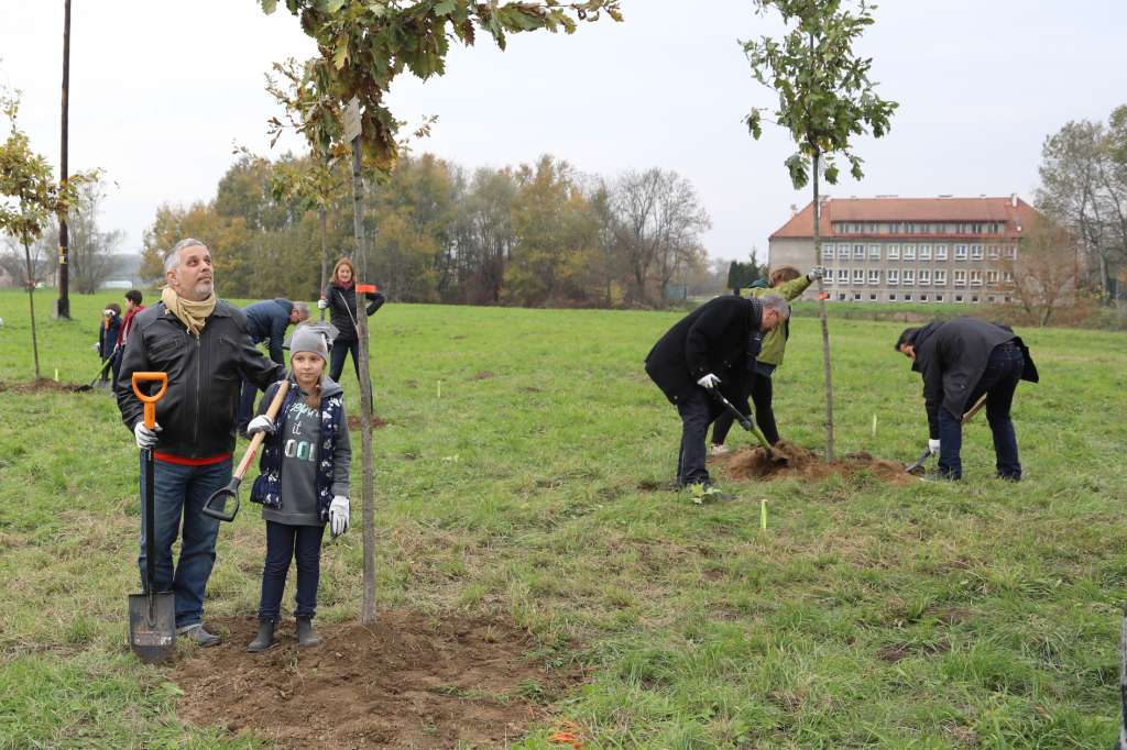 bs_krpl_20181027_img_3008.jpg-Dąb,Niepodległość,Majchrowski  Autor: B. Świerzowski