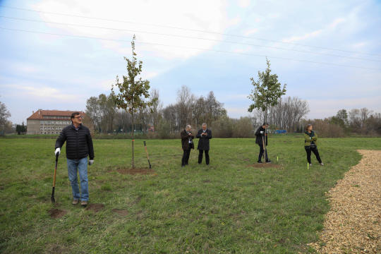 bs_krpl_20181027_img_3137.jpg-Dąb,Niepodległość,Majchrowski