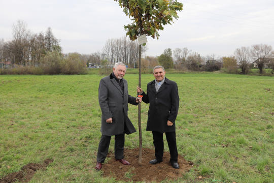bs_krpl_20181027_img_3237.jpg-Dąb,Niepodległość,Majchrowski