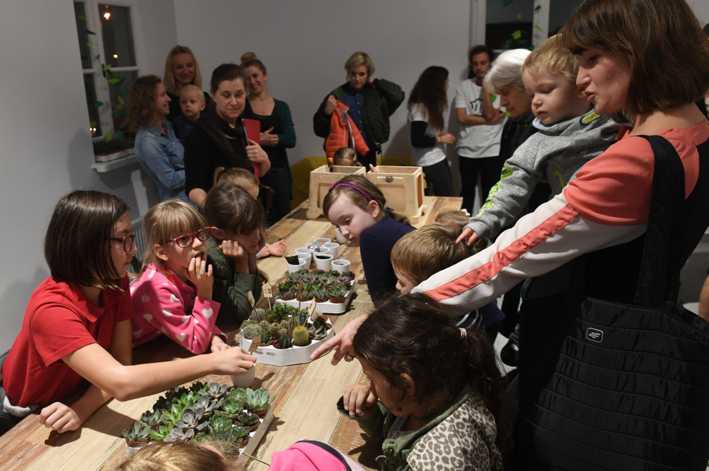 dsc_6651 copy.jpg-Mydlniki  Autor: W. Majka