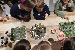 dsc_6653 copy.jpg-Mydlniki