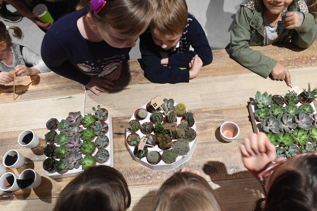 dsc_6653 copy.jpg-Mydlniki  Autor: W. Majka