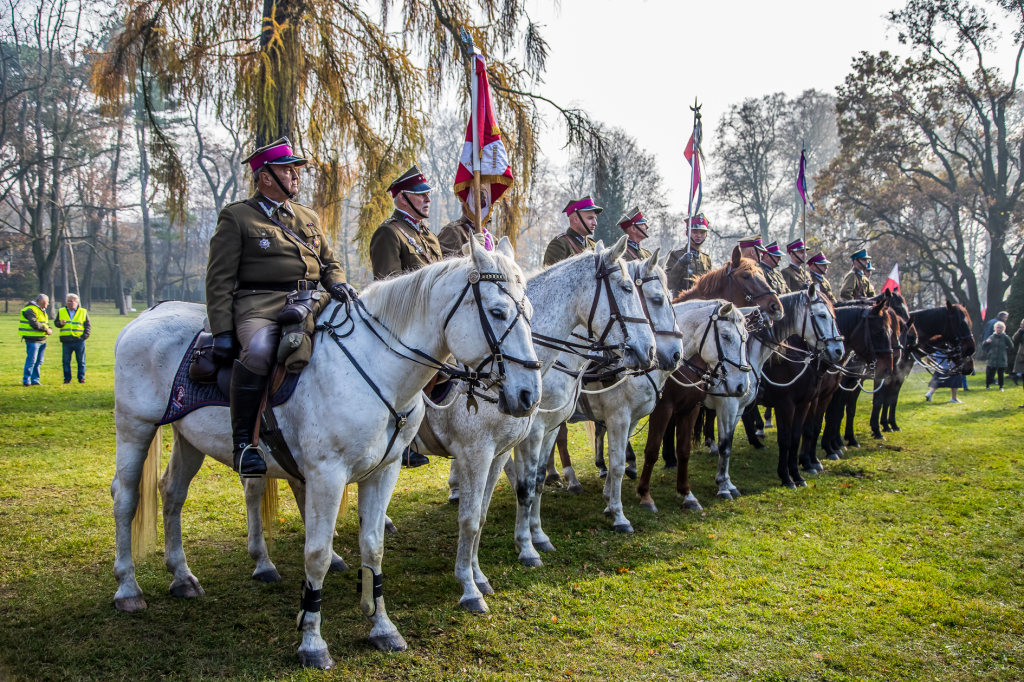 bs-listopada 10, 2018-img_6726.jpg-Niepodległość,Park Jordana,Majchrowski,  Autor: B. Świerzowski