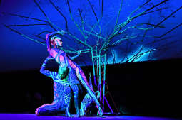 dsc_9456 - kopia.jpg-open eyses