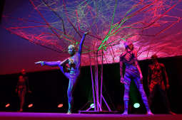 dsc_9488 copy.jpg-open eyses