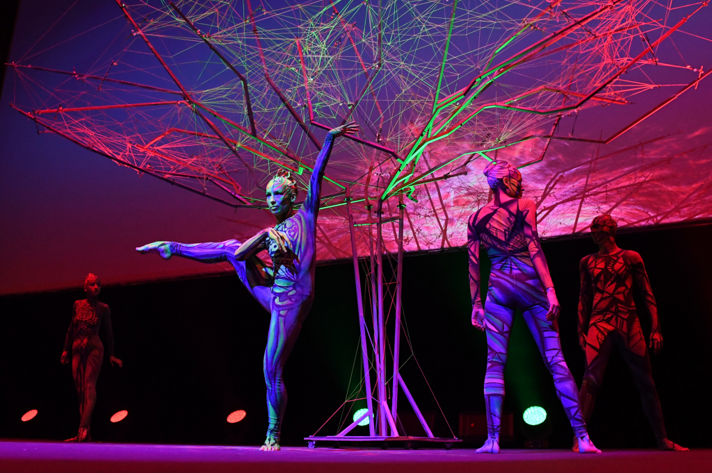 dsc_9488 copy.jpg-open eyses  Autor: W. Majka