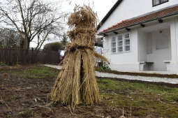 dsc_9602.jpg-osadzenie chochoła