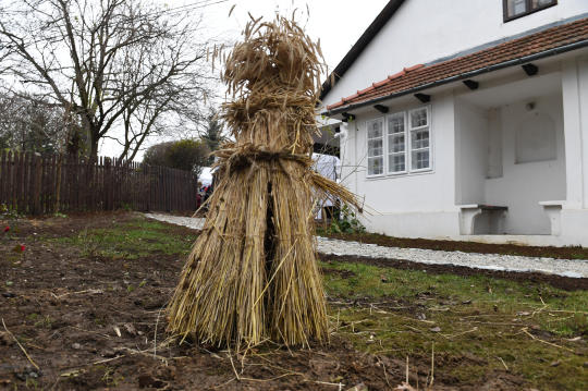 dsc_9602.jpg-osadzenie chochoła