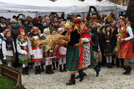 dsc_9741.jpg-osadzenie chochoła