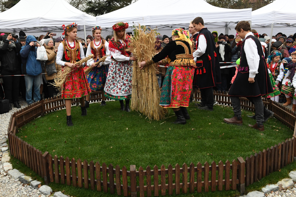 dsc_9746.jpg-osadzenie chochoła  Autor: W. Majka