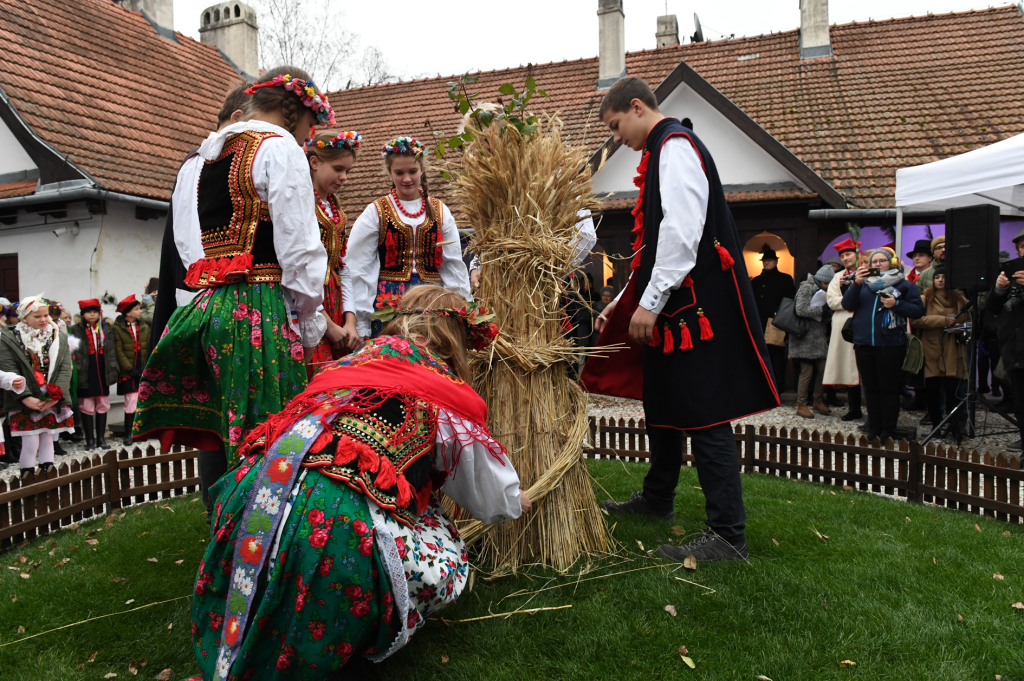 dsc_9758.jpg-osadzenie chochoła  Autor: W. Majka