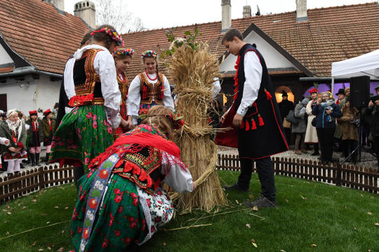 dsc_9758.jpg-osadzenie chochoła
