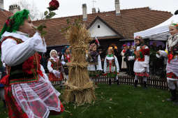 dsc_9767.jpg-osadzenie chochoła