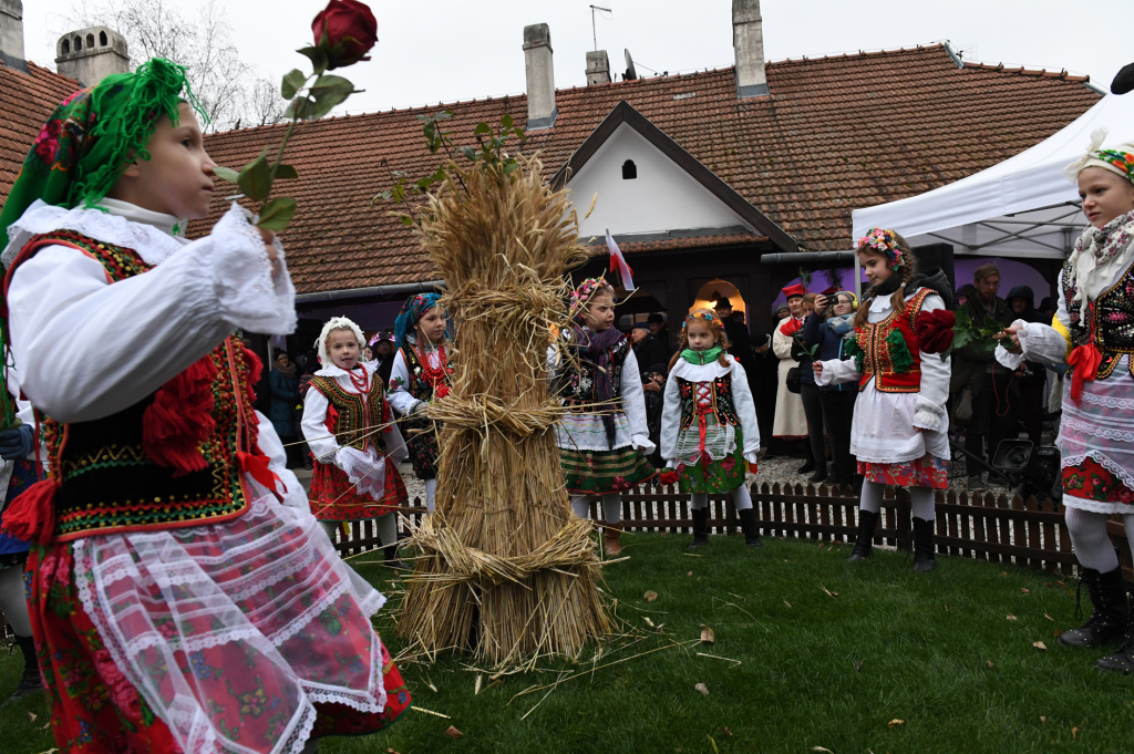 dsc_9767.jpg-osadzenie chochoła  Autor: W. Majka