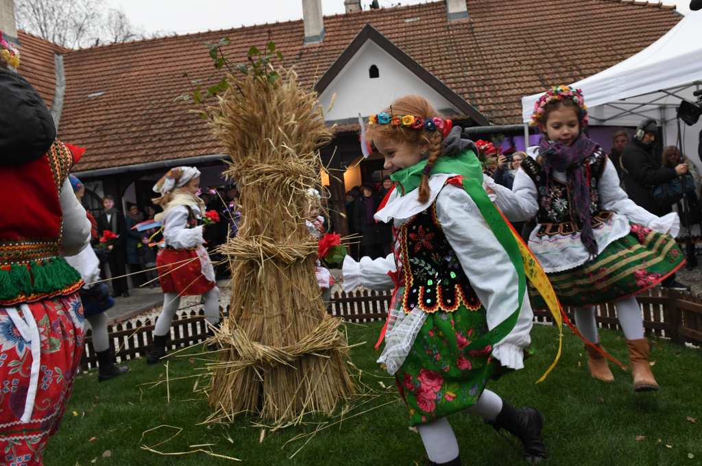 dsc_9780.jpg-osadzenie chochoła  Autor: W. Majka