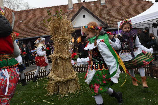 dsc_9780.jpg-osadzenie chochoła
