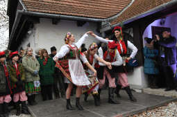 dsc_9827.jpg-osadzenie chochoła