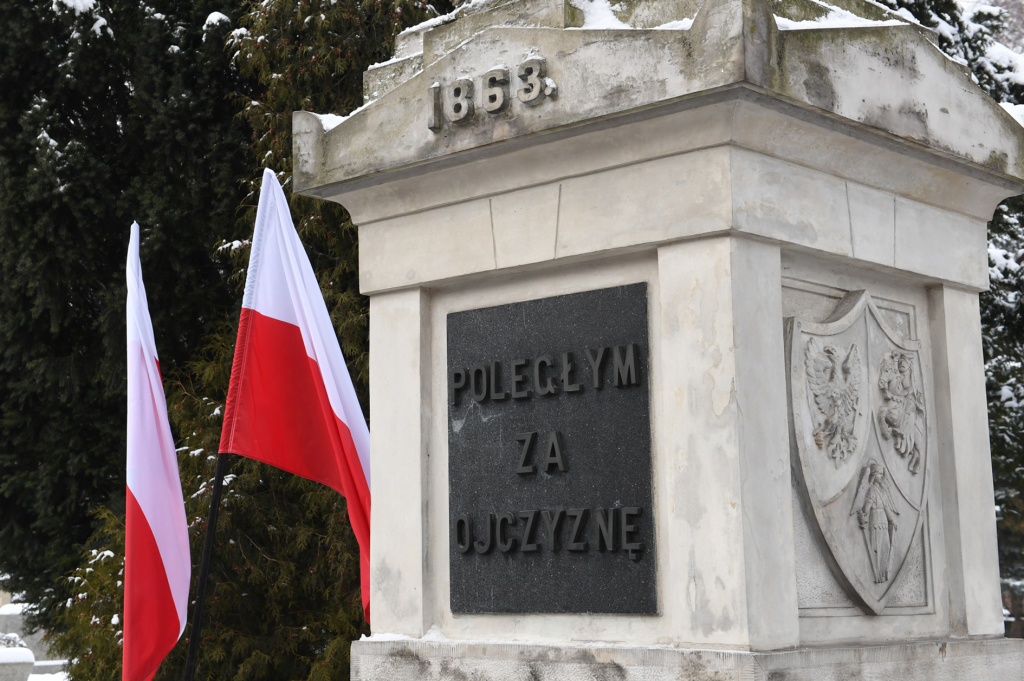 dsc_6219 copy.jpg-Powstania Styczniowego  Autor: W. Majka