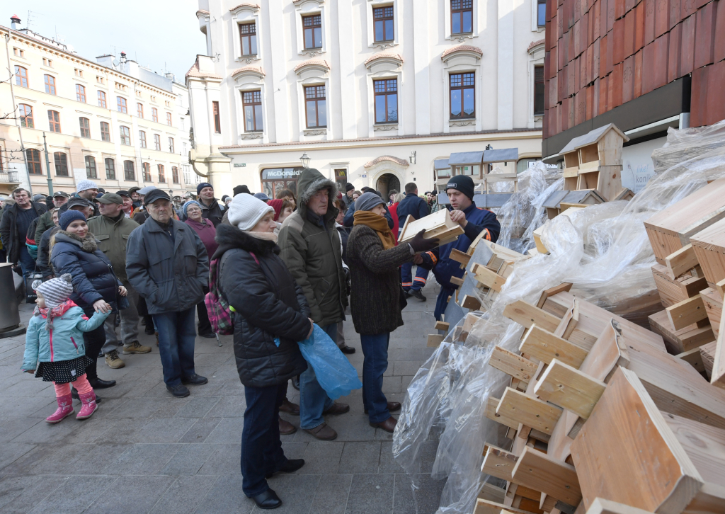 dsc_8945 copy.jpg-budek lęgowych dla ptaków  Autor: W. Majka