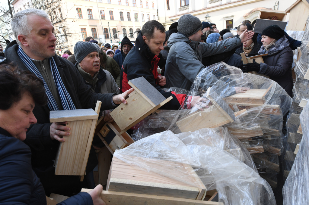 dsc_8964 copy.jpg-budek lęgowych dla ptaków  Autor: W. Majka