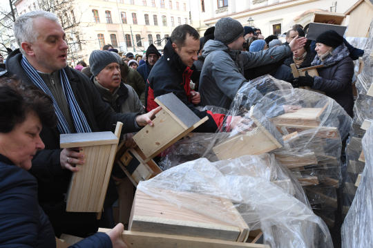 dsc_8964 copy.jpg-budek lęgowych dla ptaków