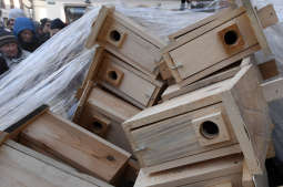 dsc_8970 copy.jpg-budek lęgowych dla ptaków