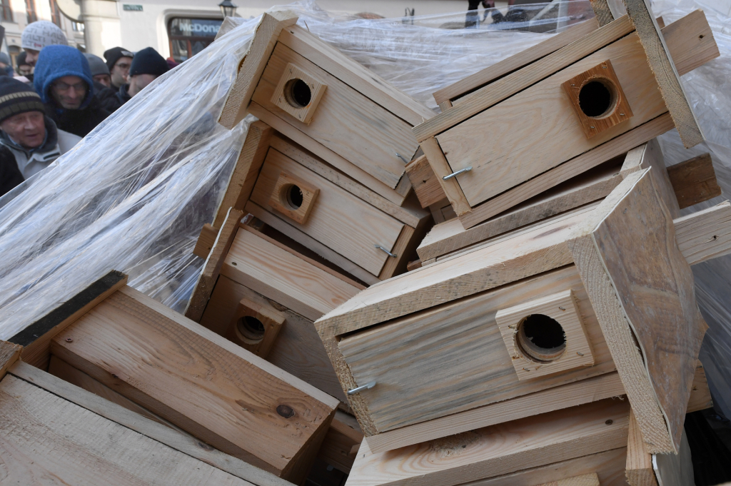 dsc_8970 copy.jpg-budek lęgowych dla ptaków  Autor: W. Majka