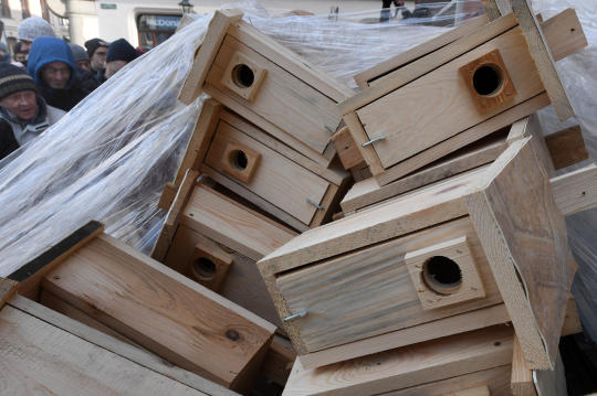 dsc_8970 copy.jpg-budek lęgowych dla ptaków