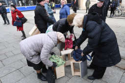 dsc_8976 copy.jpg-budek lęgowych dla ptaków