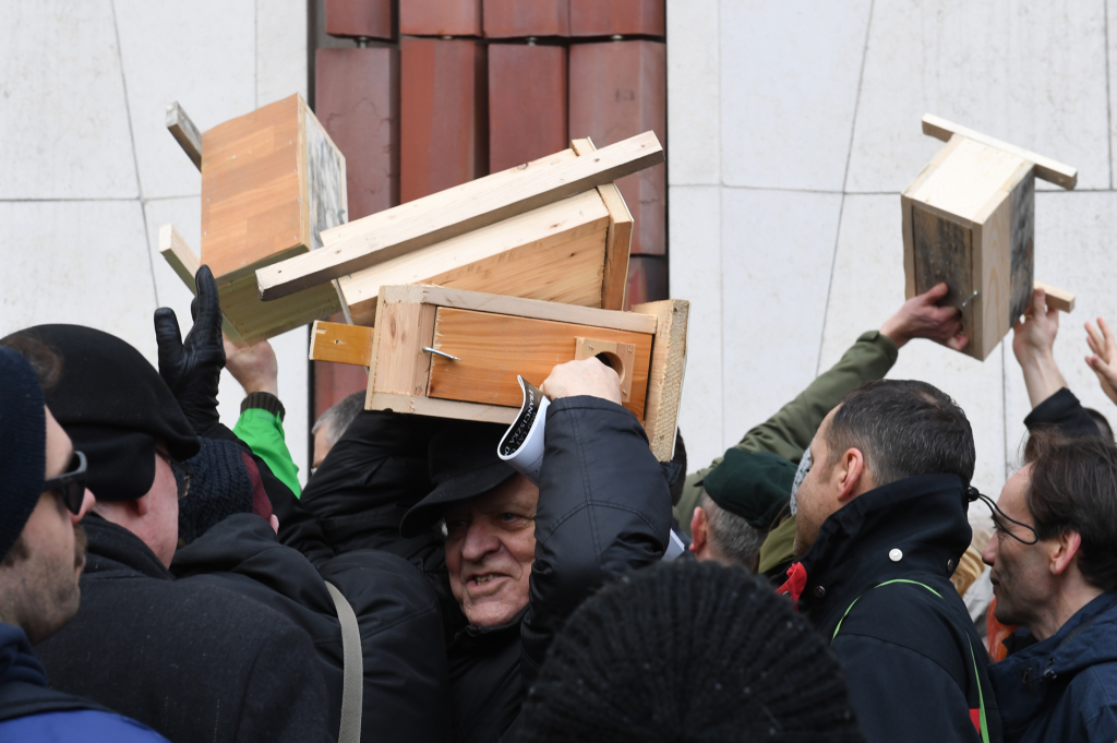 dsc_8989 copy.jpg-budek lęgowych dla ptaków  Autor: W. Majka