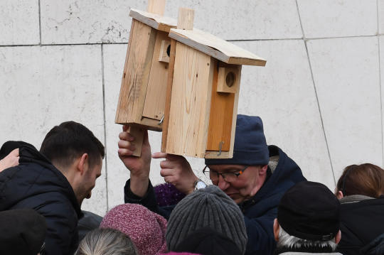 dsc_9005 copy.jpg-budek lęgowych dla ptaków
