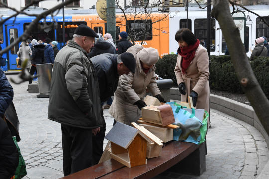 dsc_9009 copy.jpg-budek lęgowych dla ptaków