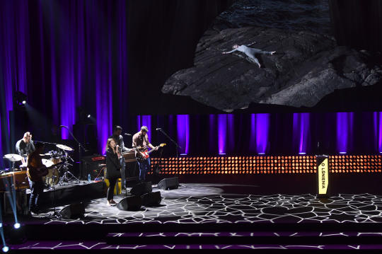 dsc_1279 copy.jpg-O!śnienia 2018