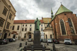 bs_190319_3354.jpg-Pomnik Dietla,Majchrowski,Kwiaty