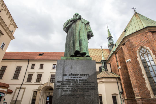 bs_190319_3361.jpg-Pomnik Dietla,Majchrowski,Kwiaty