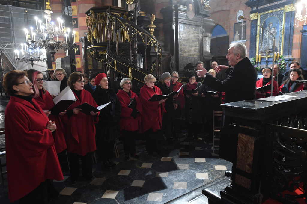 dsc_3583 copy.jpg  Autor: W. Majka