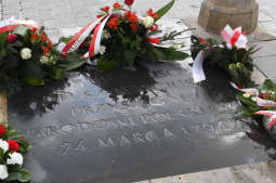 dsc_3899 - kopia.jpg-Tadeusza Kościuszki