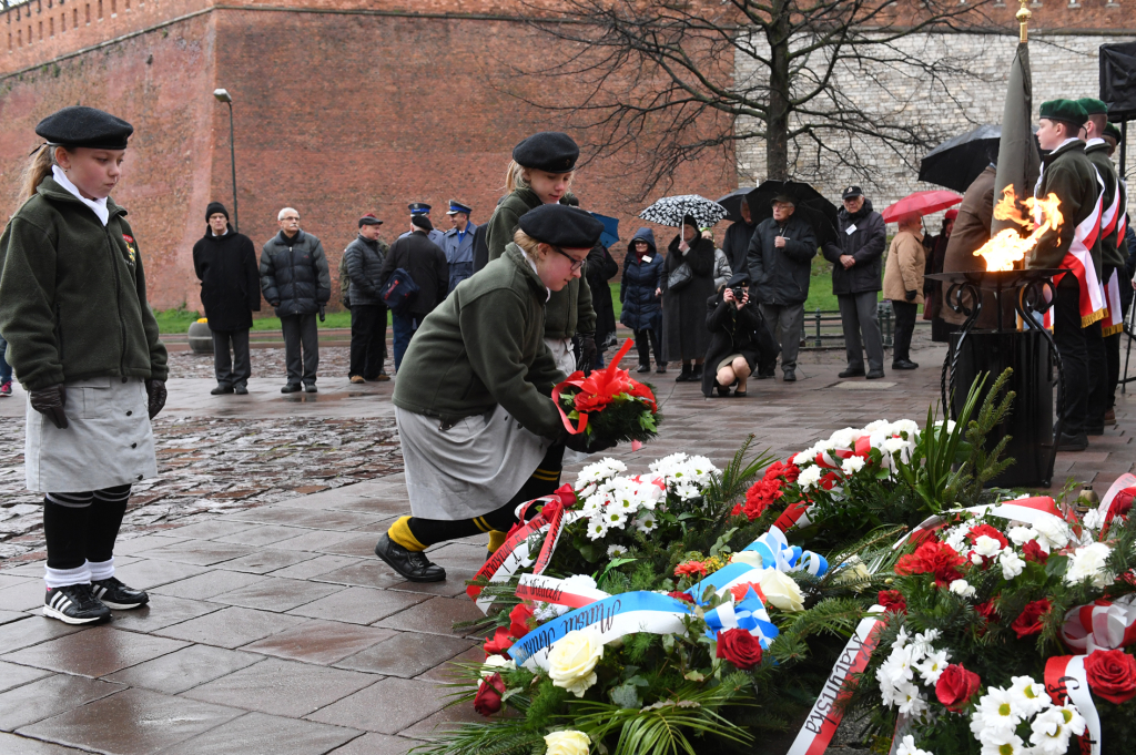 dsc_5451 copy.jpg-rocznica Zbrodni Katyńskiej  Autor: W. Majka