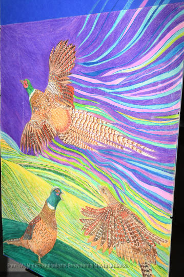 dsc_8130 copy copy.jpg