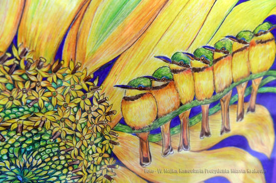 dsc_8215 copy - kopia copy.jpg