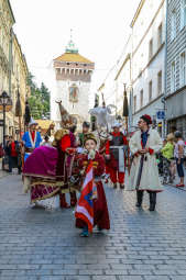 bs-czerwca 02, 2019-img_5593.jpg-OWHC