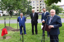 dsc_2480 copy02.jpg-Sadzenie drzewa- Aleja Kongresowa