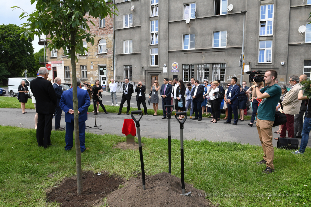 dsc_2494 copy05.jpg-Sadzenie drzewa- Aleja Kongresowa  Autor: W. Majka