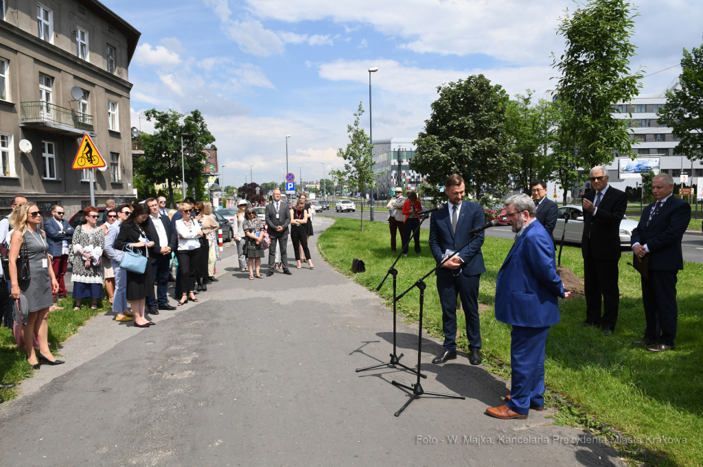 dsc_2514 copy08.jpg-Sadzenie drzewa- Aleja Kongresowa  Autor: W. Majka