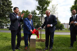 dsc_2540 copy02.jpg-Sadzenie drzewa- Aleja Kongresowa