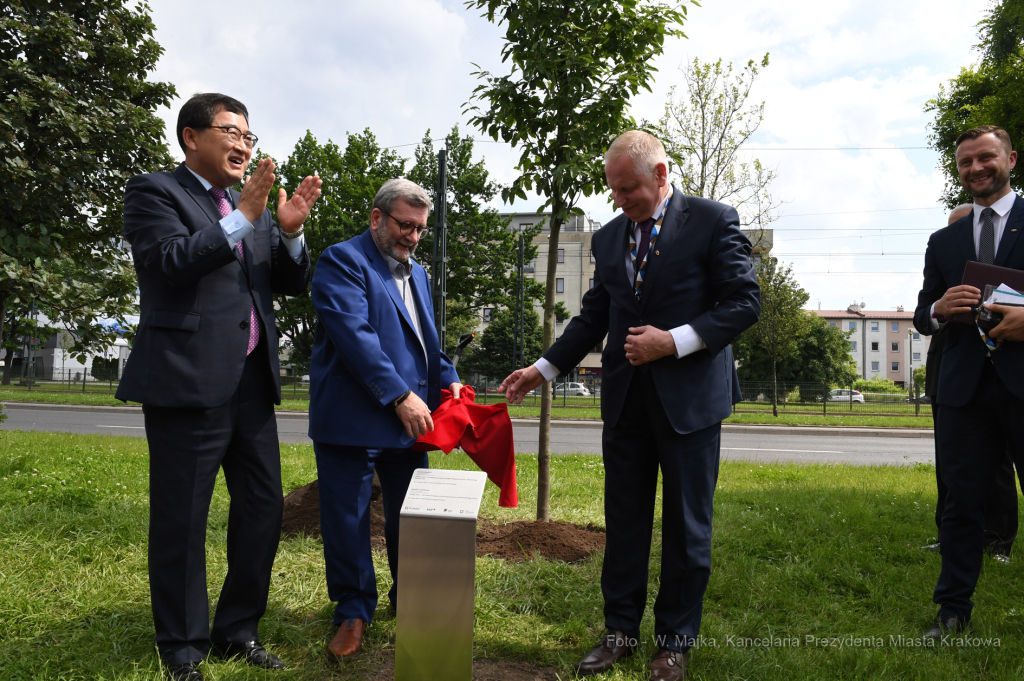 dsc_2540 copy02.jpg-Sadzenie drzewa- Aleja Kongresowa  Autor: W. Majka