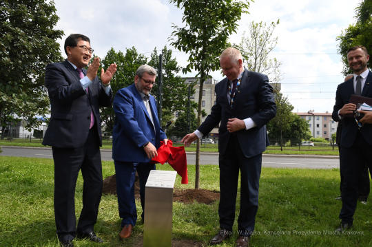 dsc_2540 copy02.jpg-Sadzenie drzewa- Aleja Kongresowa